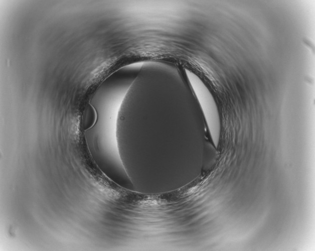 X0000093740404200710301109