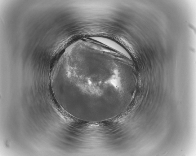 X0000093740405200710301109