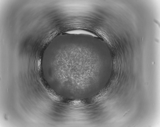 X0000093740406200710301109