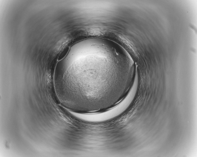 X0000093740407200710301109