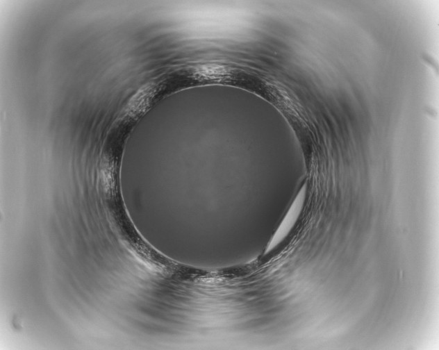 X0000093740408200710301109