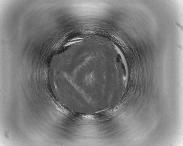 X0000093740409200710301109