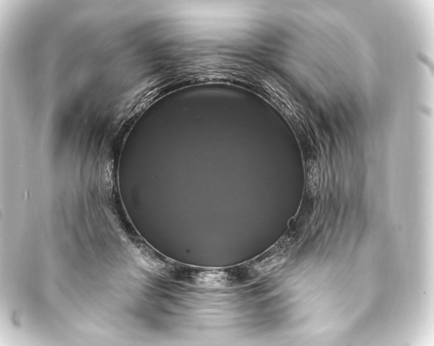 X0000093740410200710301109