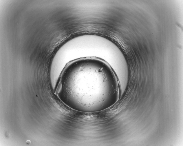 X0000093740411200710301109