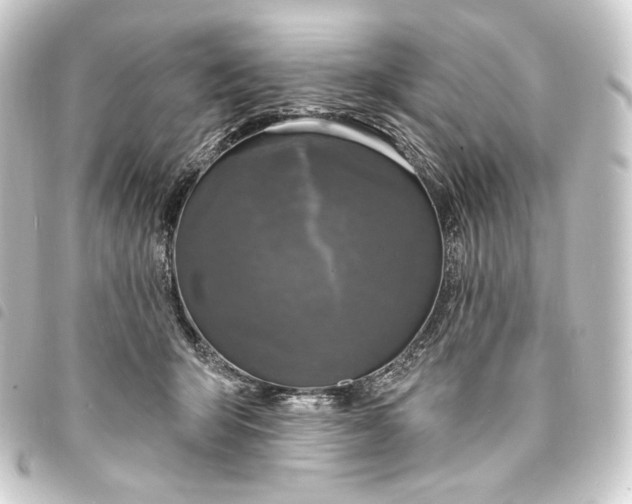 X0000093740415200710301108