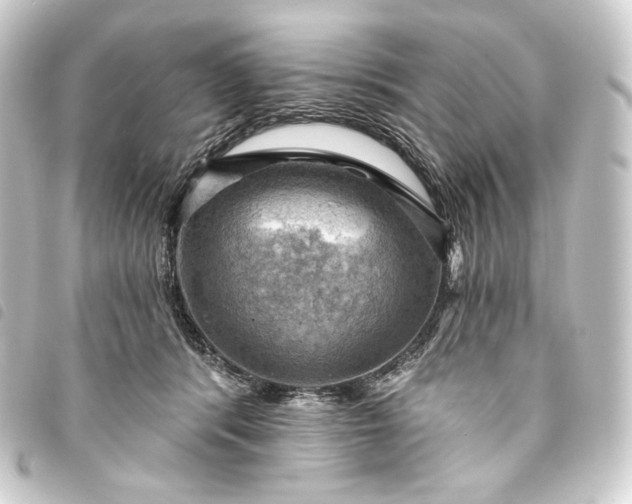 X0000093740416200710301108