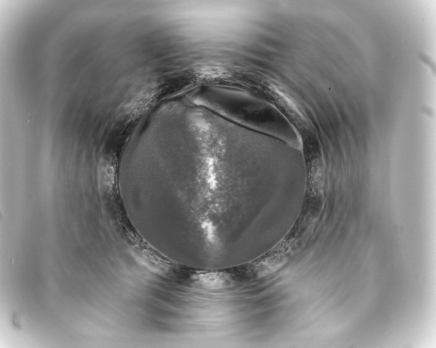 X0000093740417200710301108