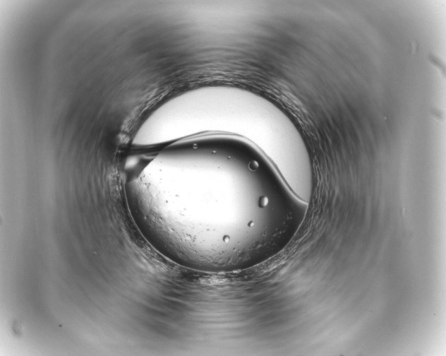 X0000093740419200710301108