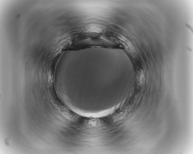 X0000093740420200710301108