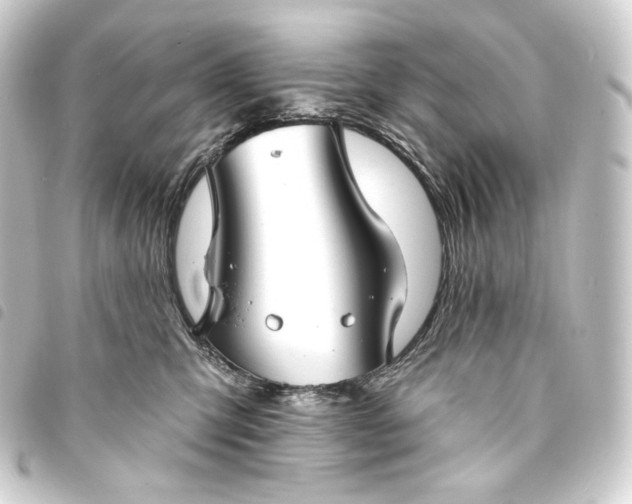 X0000093740423200710301108