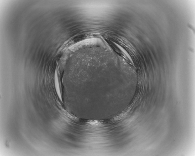 X0000093740425200710301108