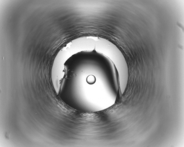 X0000093740428200710301108