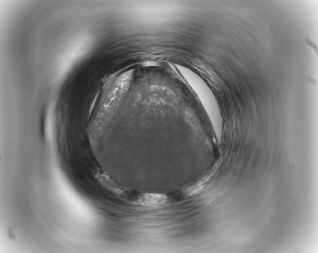 X0000093740429200710301108