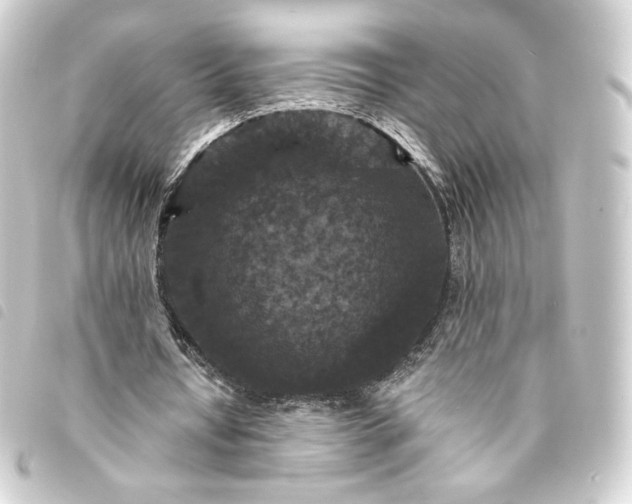 X0000093740434200710301108