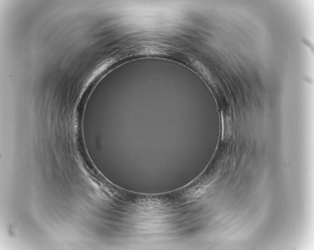 X0000093740435200710301108