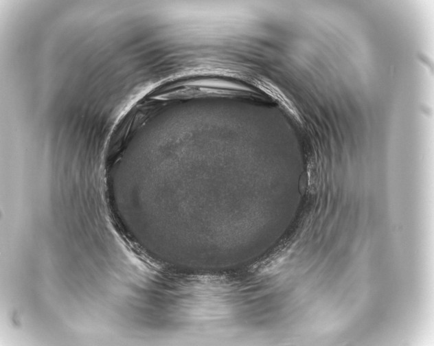 X0000093740436200710301108