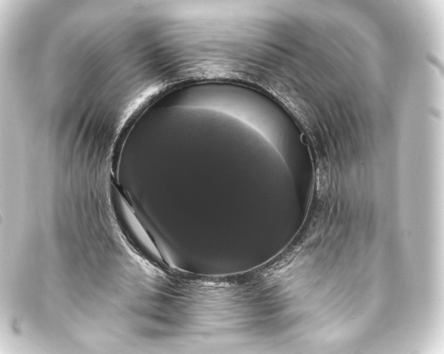 X0000093740438200710301108