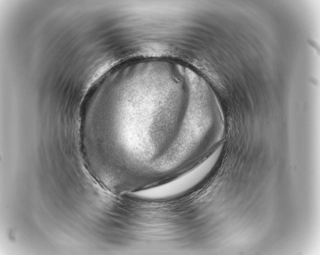 X0000093740440200710301108