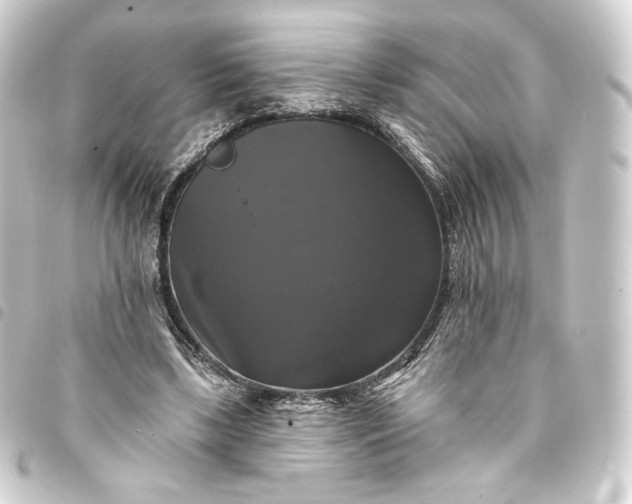 X0000093740443200710301108