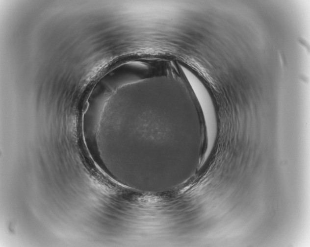 X0000093740444200710301108