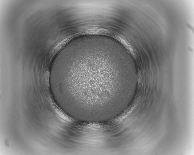 X0000093740445200710301108