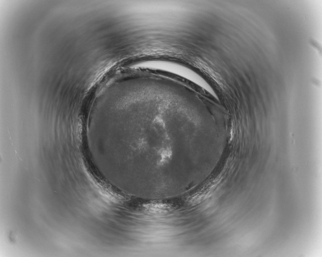 X0000093740448200710301108