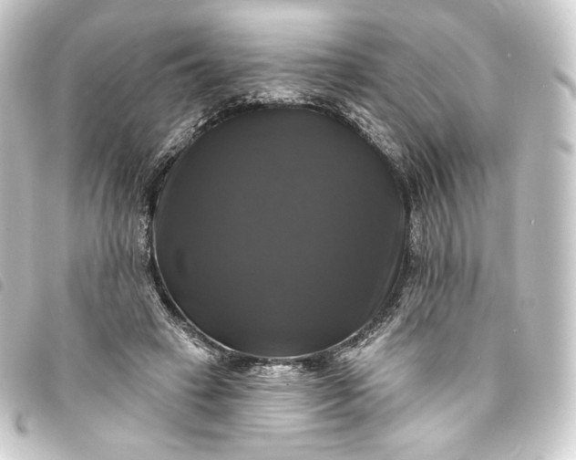 X0000093740449200710301108