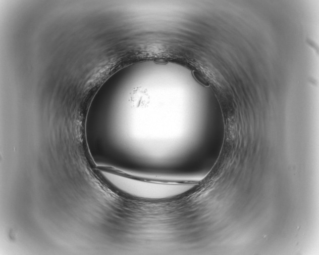 X0000093740450200710301108