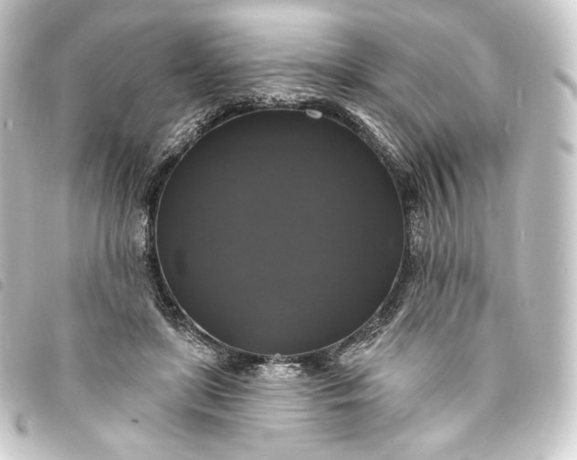 X0000093740451200710301108