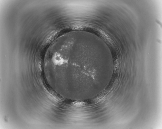 X0000093740452200710301108