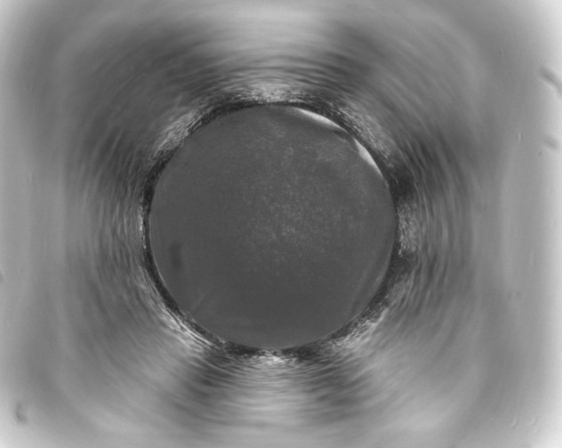 X0000093740453200710301108