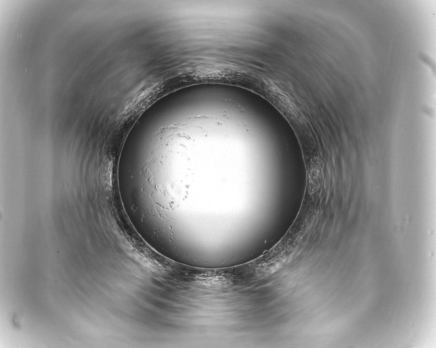 X0000093740454200710301108