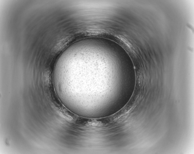 X0000093740455200710301108