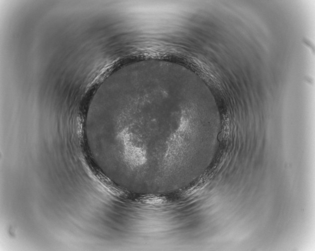 X0000093740456200710301108