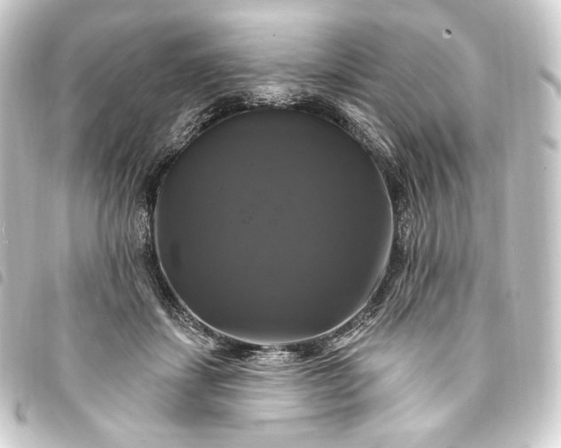 X0000093740459200710301108