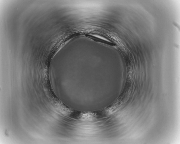 X0000093740461200710301108