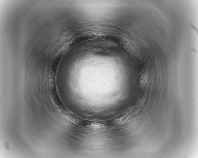 X0000093740464200710301108