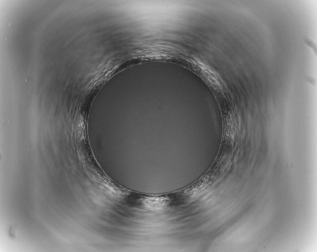 X0000093740465200710301108