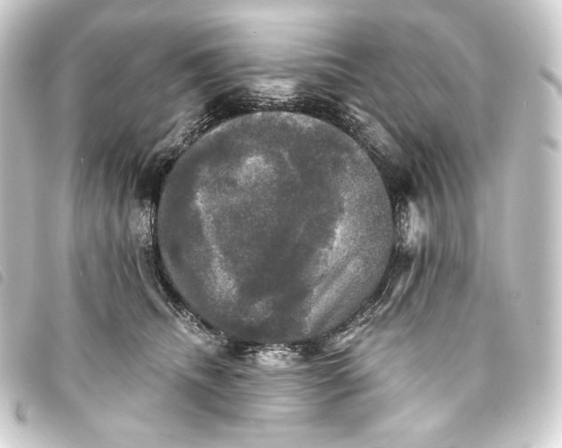 X0000093740468200710301108