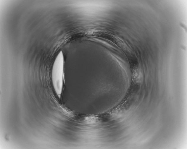 X0000093740470200710301108