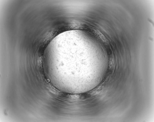 X0000093740473200710301108