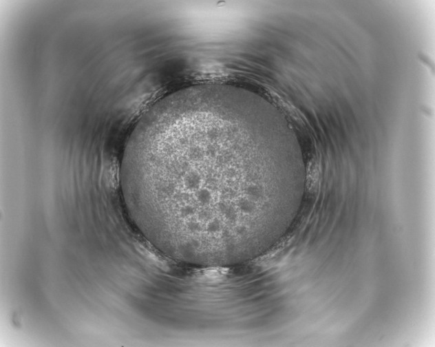 X0000093740474200710301108