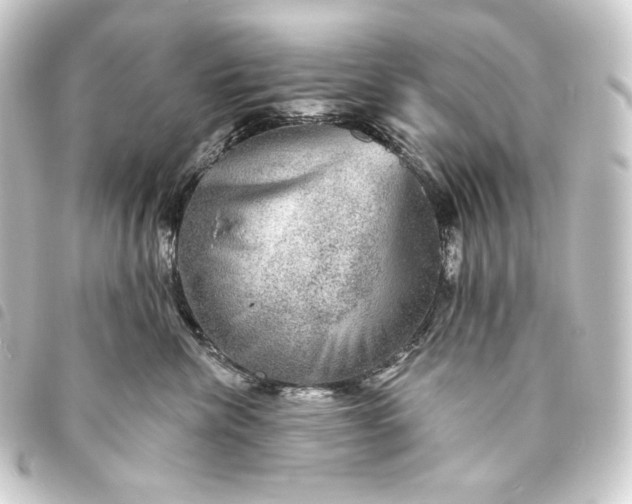 X0000093740476200710301108