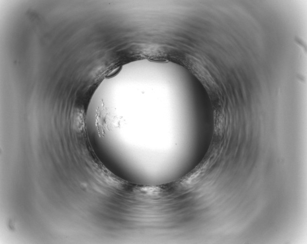 X0000093740478200710301108