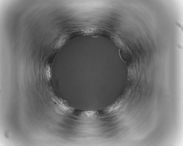 X0000093740479200710301108