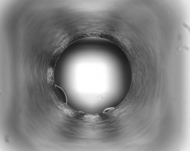 X0000093740480200710301108