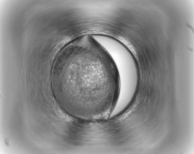 X0000093740481200710301108