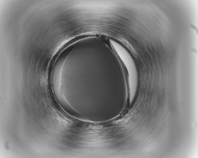 X0000093740484200710301108