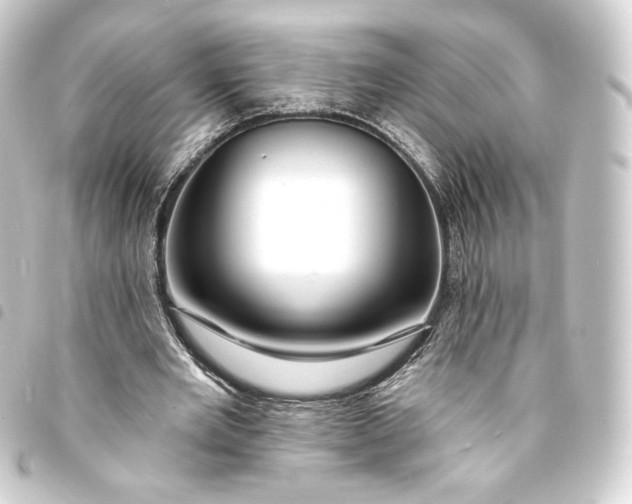 X0000093740485200710301108