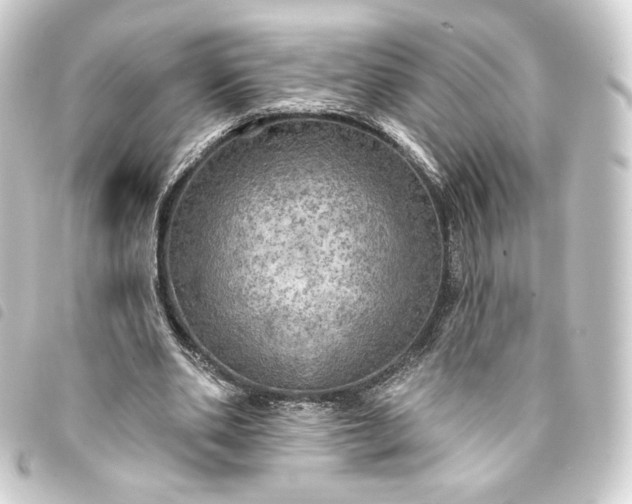 X0000093740486200710301108